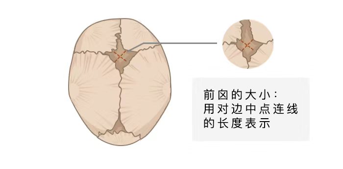 圖片關(guān)鍵詞